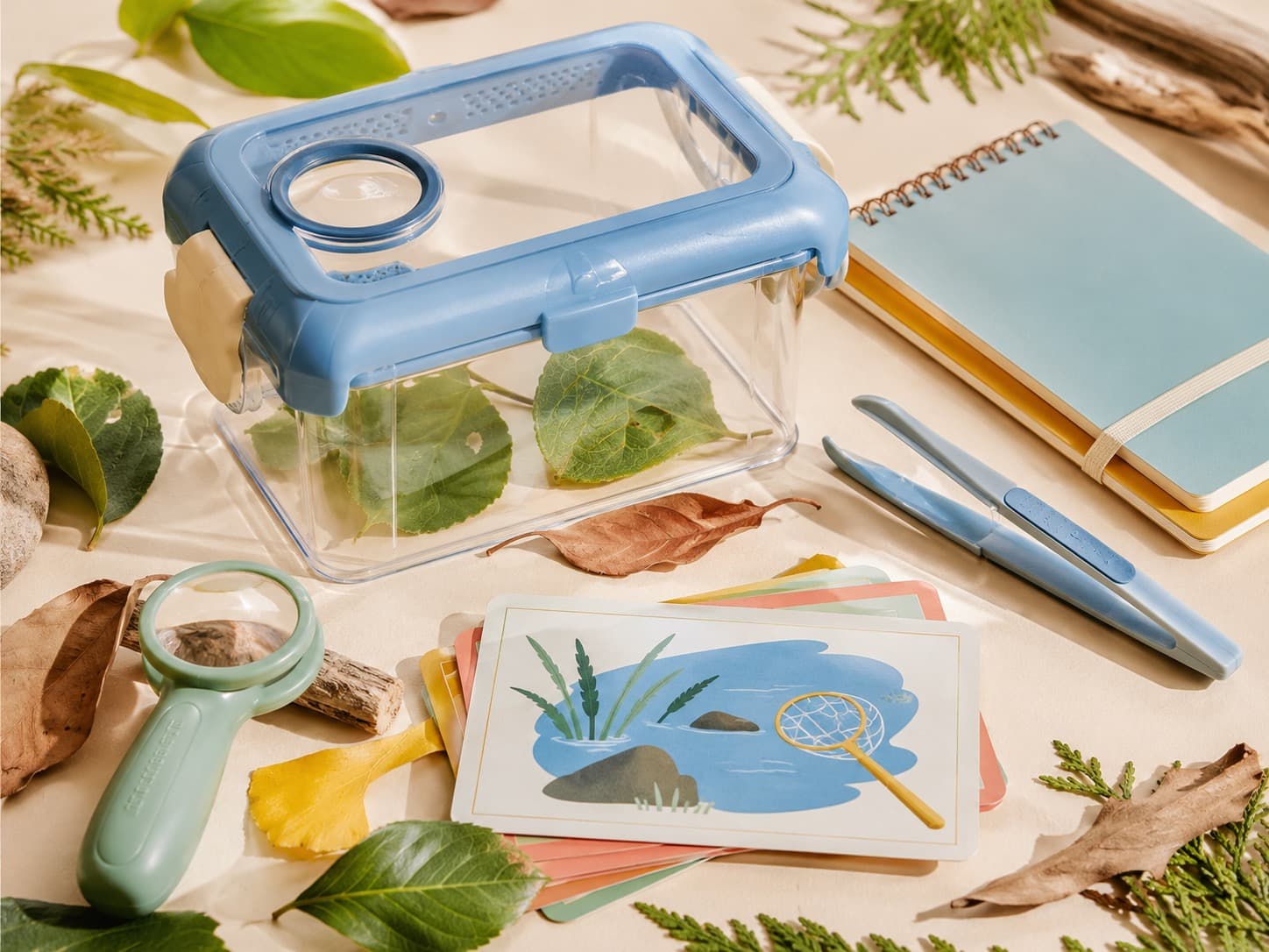 Bug & Leaf Discovery Box educational science kit arranged on a studio table